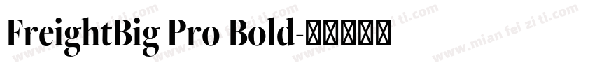 FreightBig Pro Bold字体转换